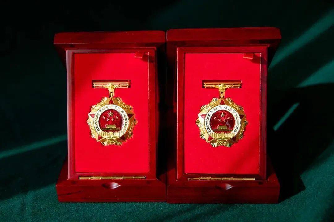 2020年全国劳动模范和先进工作者表彰大会摄影特刊劳动者的幸福荣光