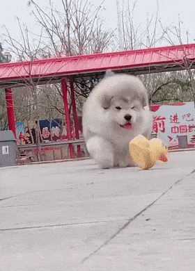 280_390竖版 竖屏gif 动态图 动图