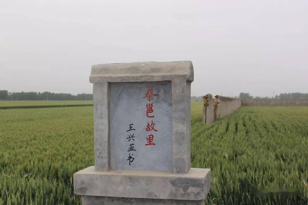 蔡邕墓图片