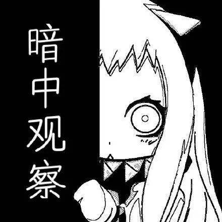 暗中观察表情包合集