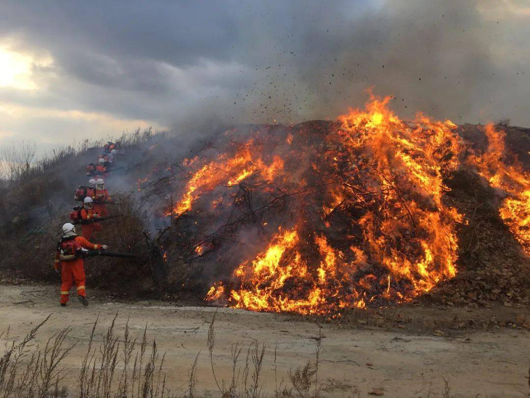队员迅速出动前往火灾现场龙口市森林消防专业队伍以练为战筑牢安全
