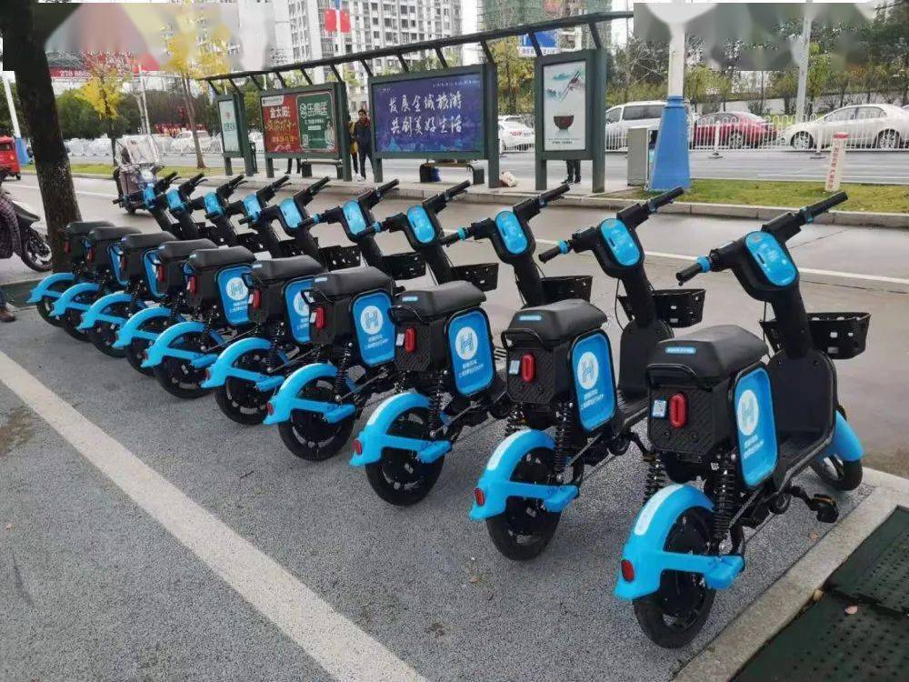 当天上午,黄山市客运总站门口摆放整齐的哈啰助力车惹人注目.