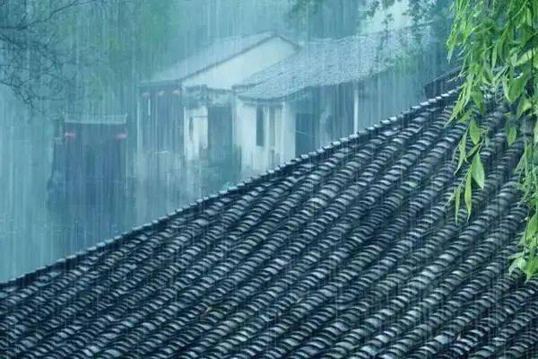 故乡的雨(节选)唐 