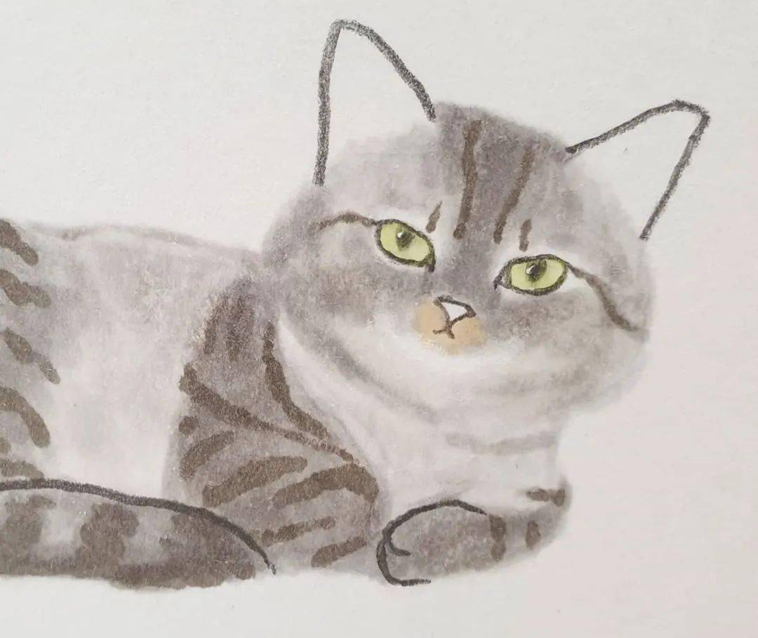有趣|这位歪果仁画的【水墨猫】很温暖~很温暖