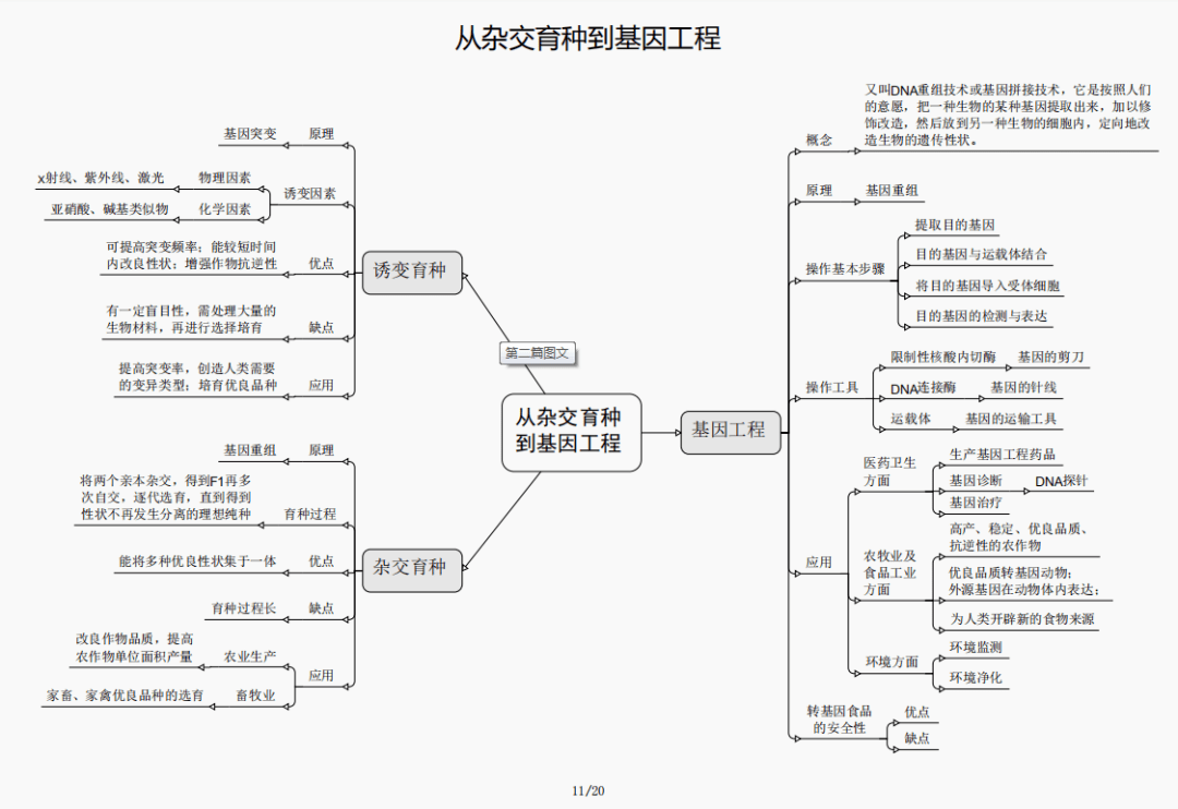 学霸脑图高考生物必修二知识框架汇总附电子版