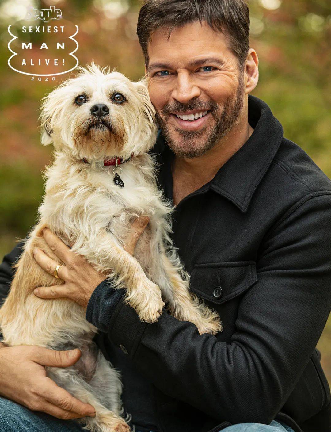 萌宠趣闻被评为最性感男人的明星们不约而同抱着宠物狗一起上镜