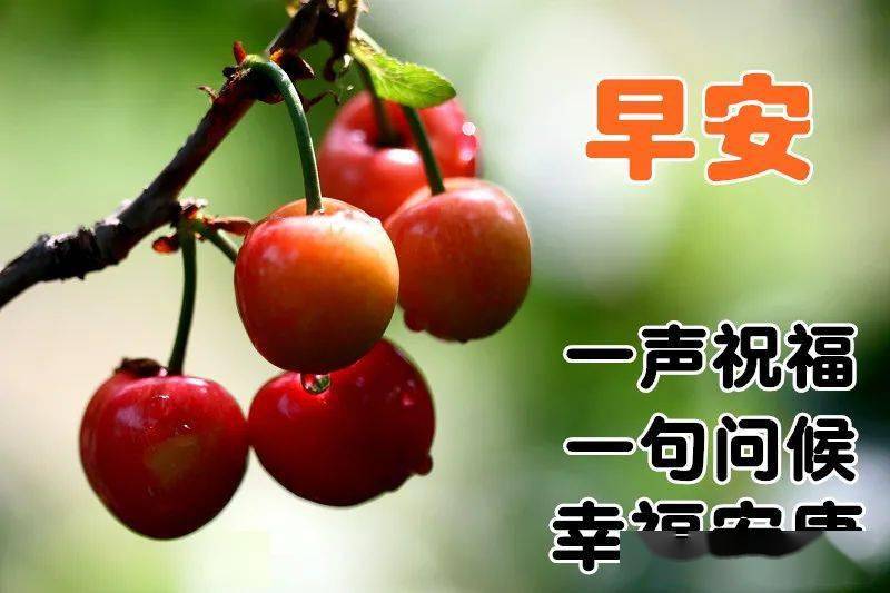 早上好问候美图早安问候语句