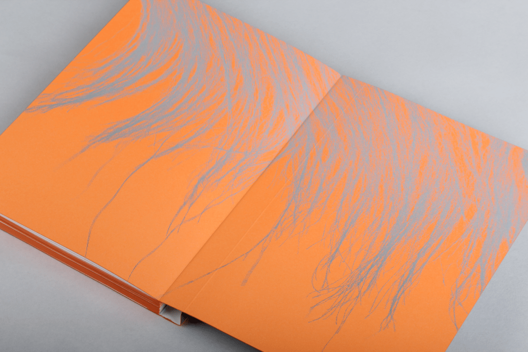 「松社读库」《相与抽象》:2020年度最美的书