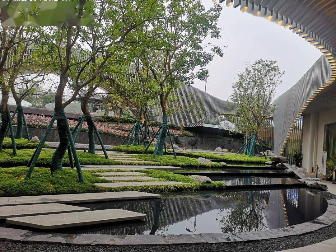 东三环内侧2万㎡起开盘卖了不到3成同森迷失龙潭森林