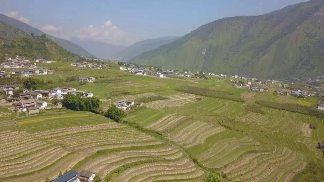 云龙功果桥镇有了服务部大山里的优质米再也不愁卖了