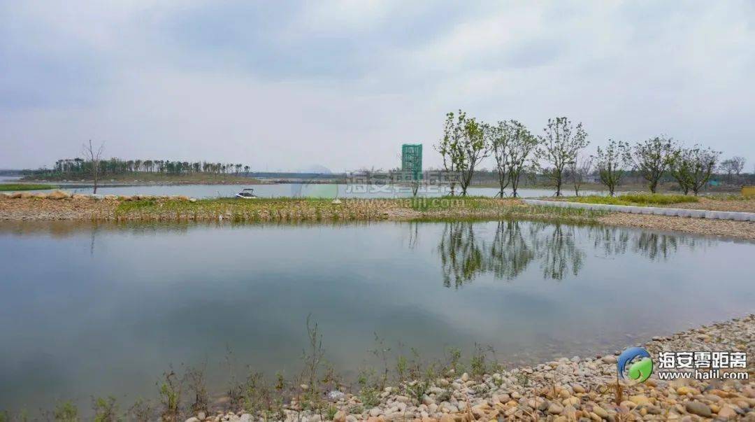 海安上湖新区,八星湖生态区有多美?走,现在就带你去看!_休闲