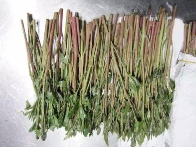"阿拉伯茶"