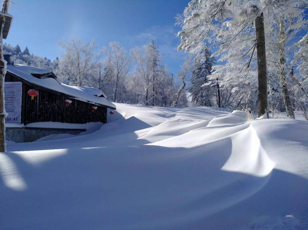 雪的旅行丨風花雪月林海雪原雪鄉鳳凰山東北賞雪之旅12月1620精品小團