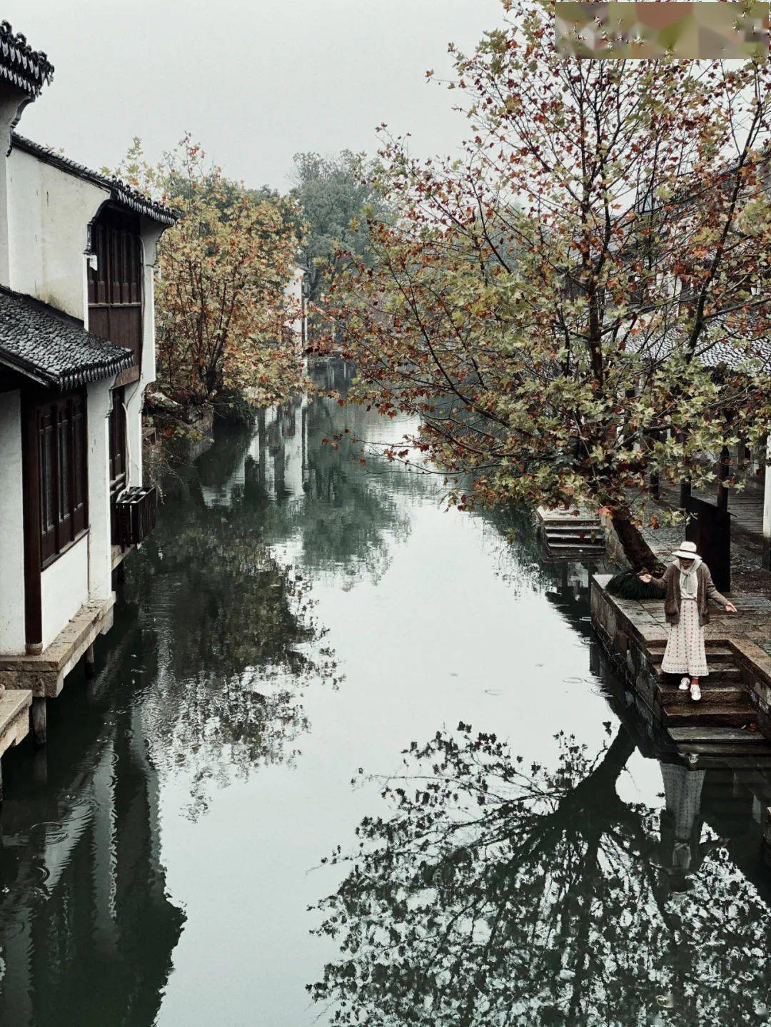 江南正煙雨,風物正人間_蘇州