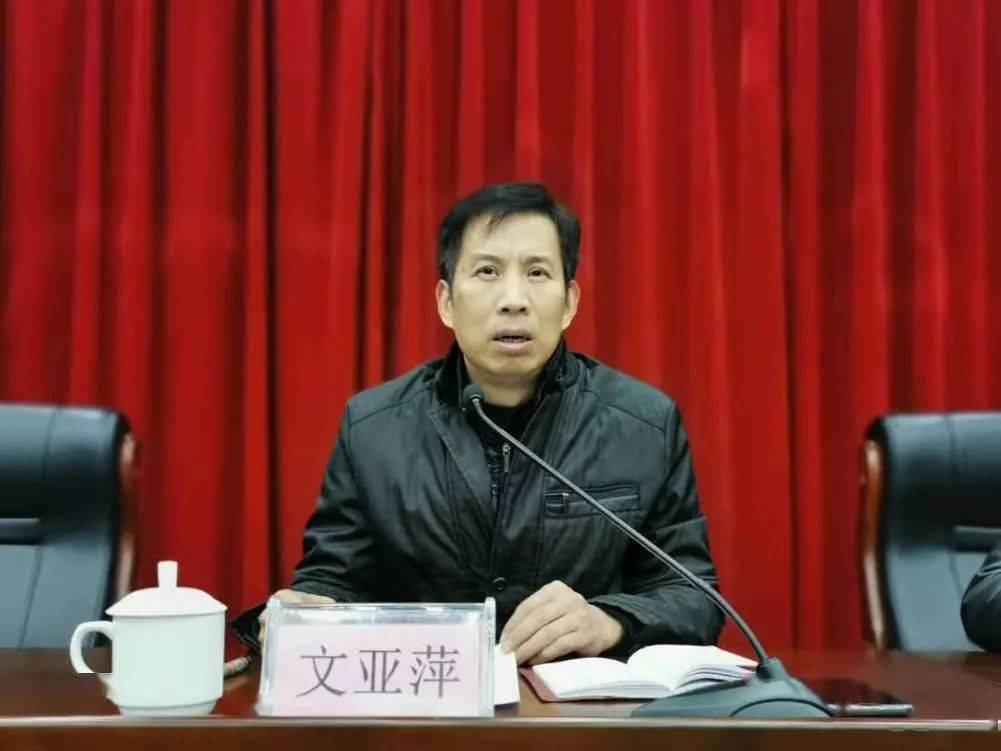 全区信访稳定暨平安建设和市域社会治理现代化试点工作推进会议召开