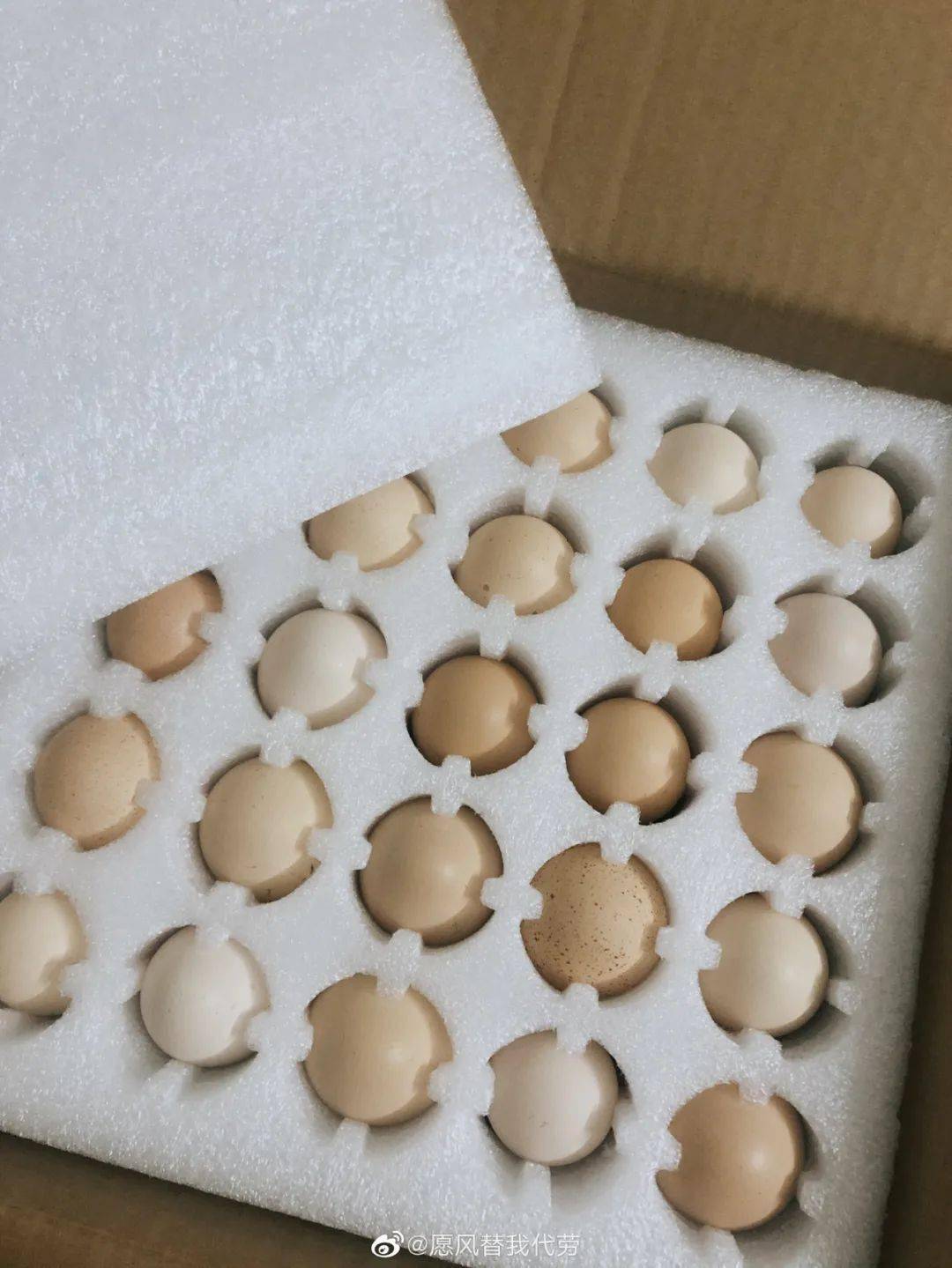 这真的是鸡蛋的包装设计吗?