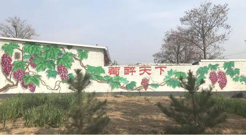 西阎乡:废旧物品变身"艺术品"扮靓美丽乡村新画卷