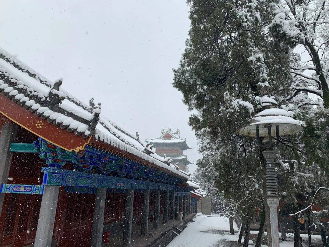 雪中的少林寺別有一番魅力▼嵩山雪景