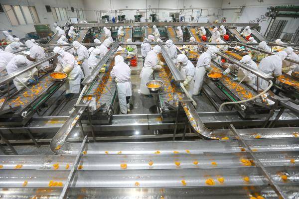 安徽淮北延伸果蔬加工产业链出口罐头生产忙