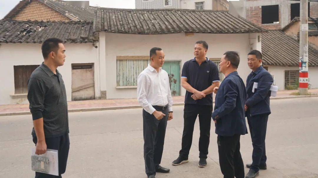 县长雷伟平到新丰镇督导脱贫攻坚和农村人居环境整治工作