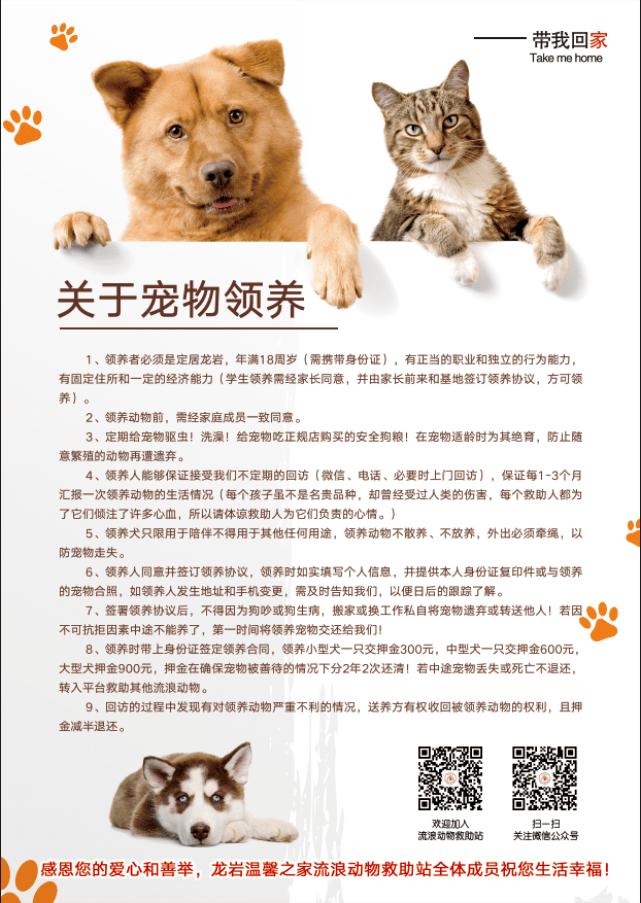 温馨活动│第三届宠物领养日,12月12日万达广场等你