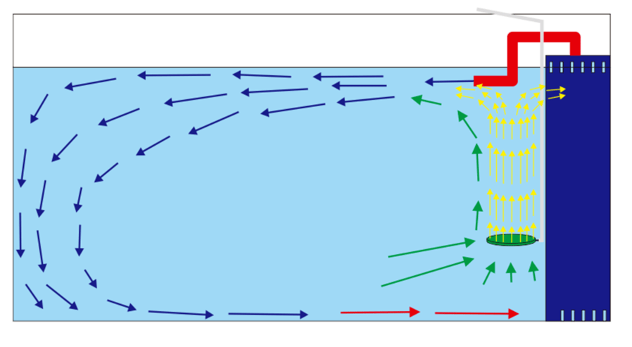 鱼缸内水流方向示意图图片