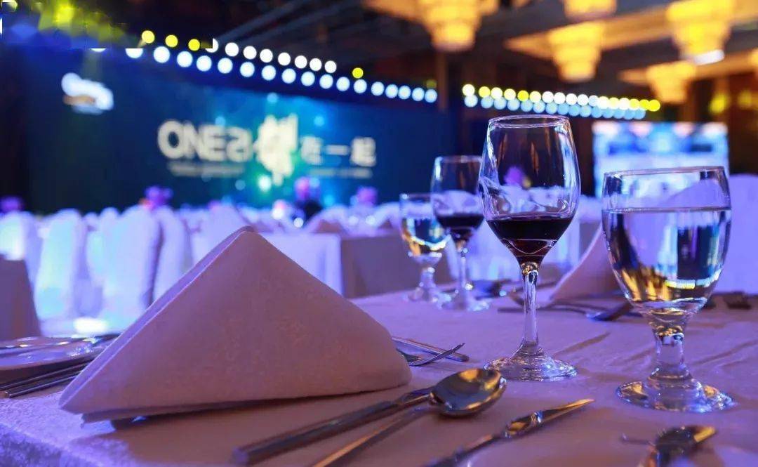 你的礼服准备好了吗?_晚宴