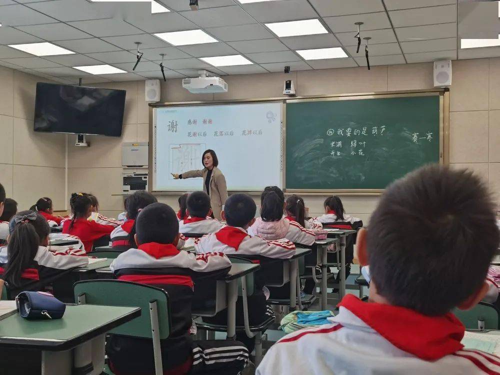 田雪平何娟车琴董瑶瑶苟林林但晓敏英语组顾兰张瑜王莹杨帆王叶丹信息