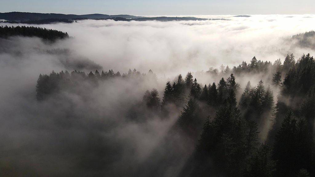 浓雾弥漫秋意盎然 航拍德国黑森林和艾布湖,乡村秋季风景十分美丽.