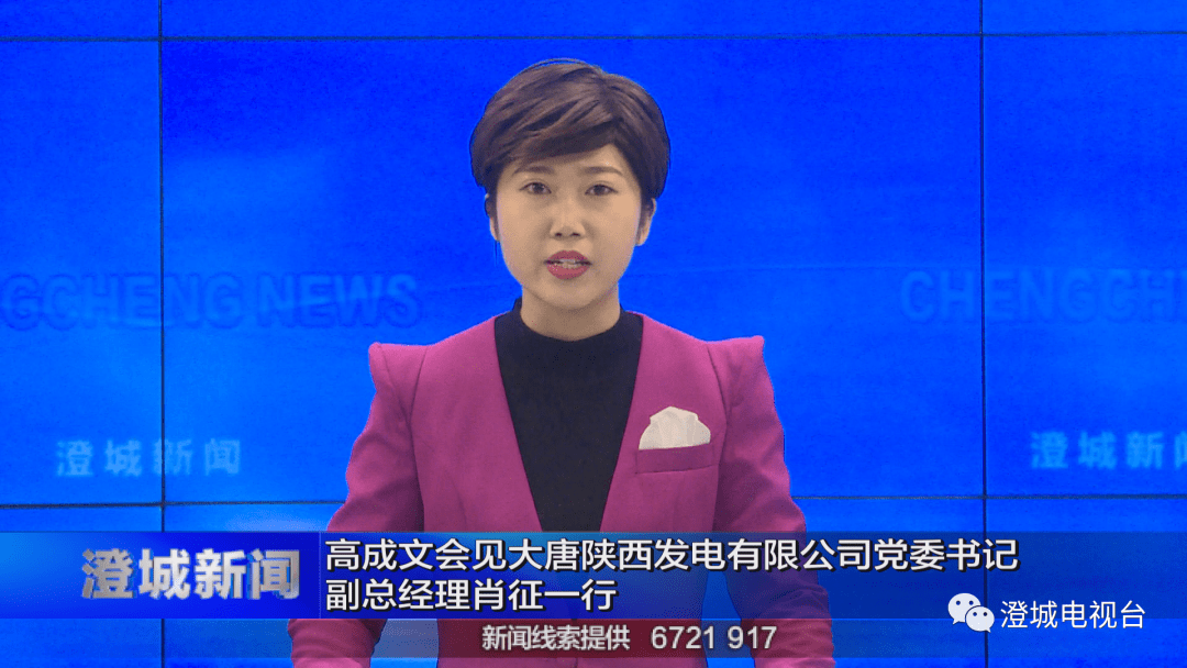 高成文会见大唐陕西发电有限公司党委书记副总经理肖征一行