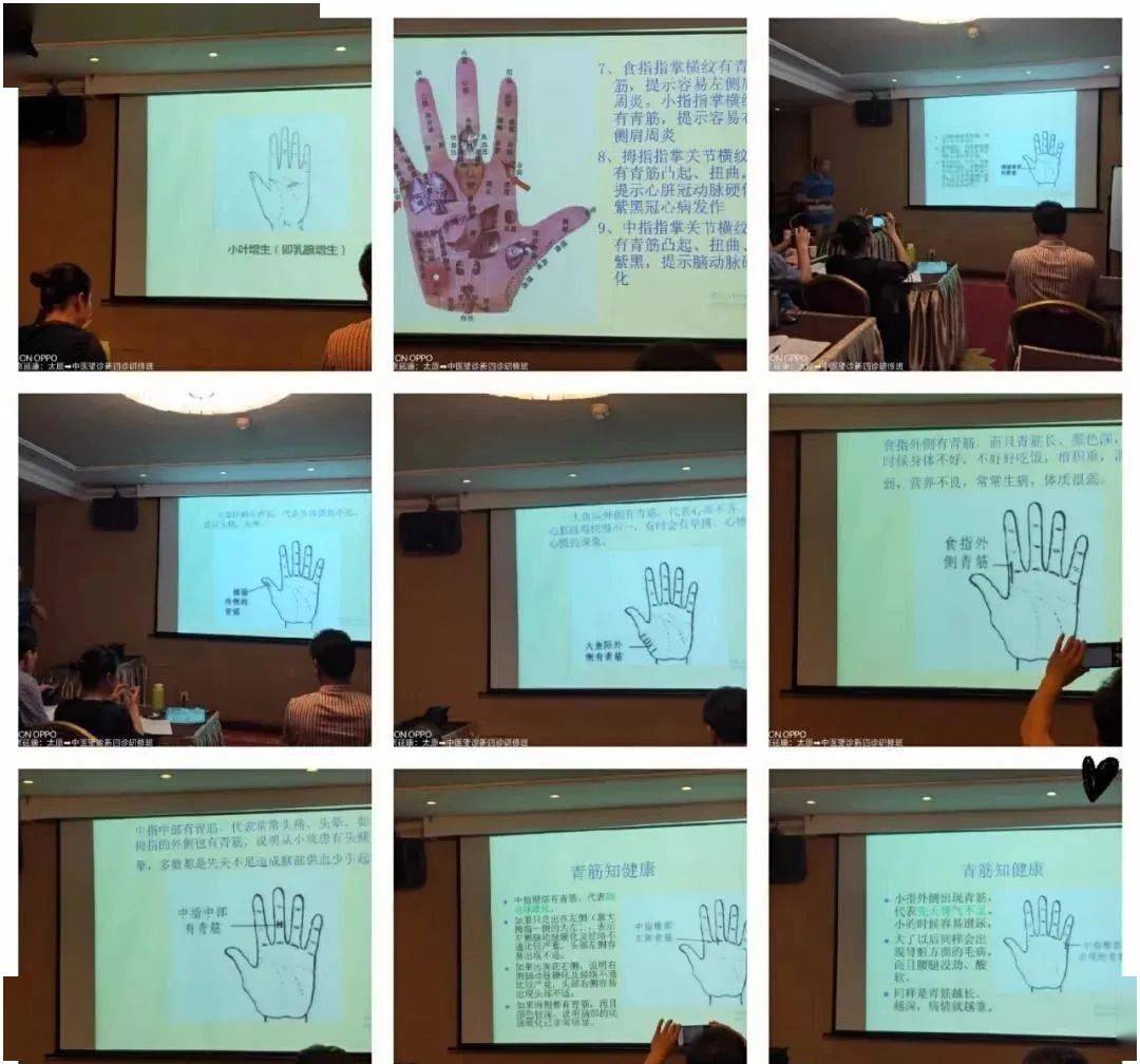 【12月20日—长沙】新中医望诊特色诊疗暨新四诊(手诊面诊眼诊耳诊)精修班-搜狐大视野-搜狐新闻