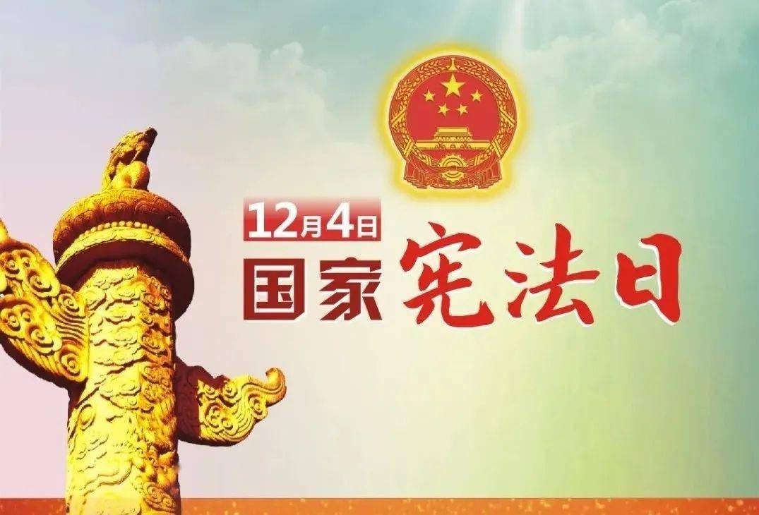 国家宪法日 | 笃行宪法,一起与“法”同行!-搜狐大视野-搜狐新闻