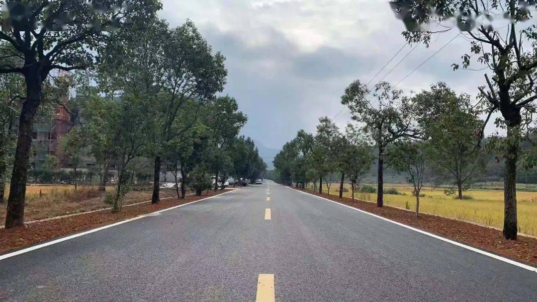 临海市61条农村公路大中修提前2个月完工