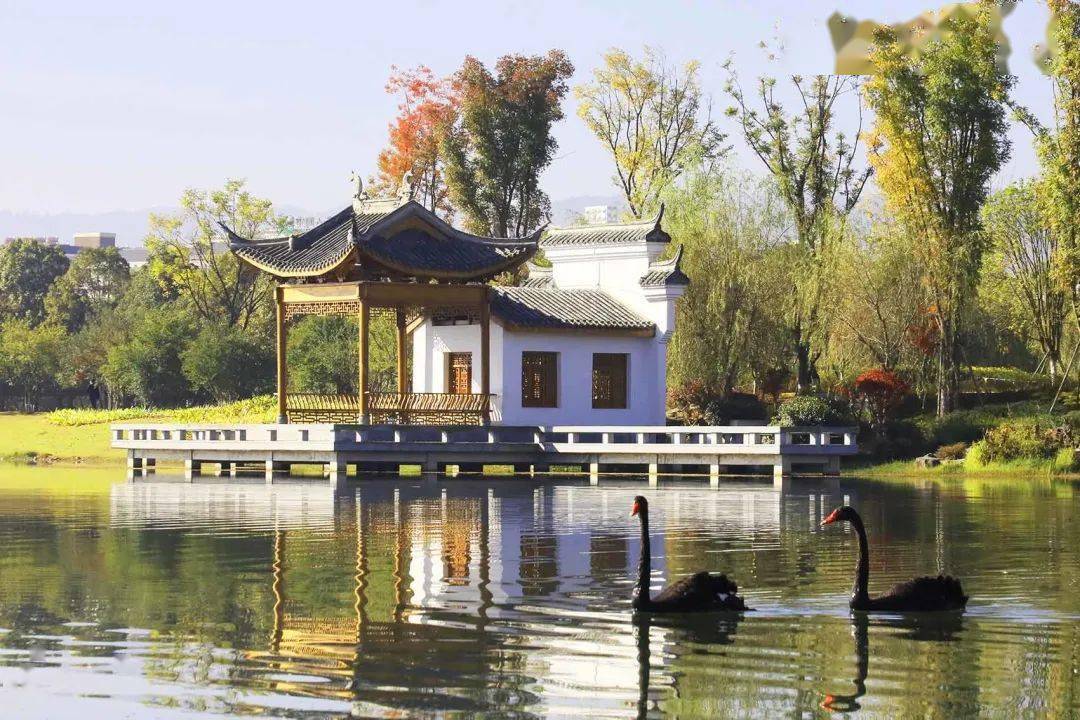 全网都在找的"茶韵仙境"在这里_公园