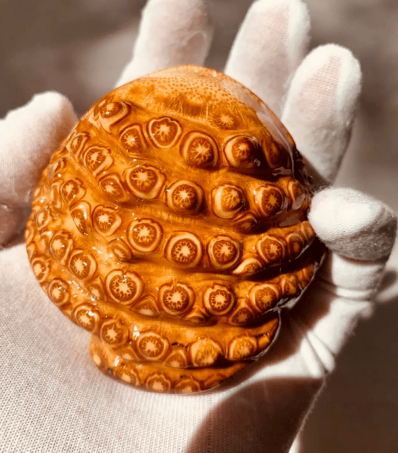 惟妙惟肖竹根雕