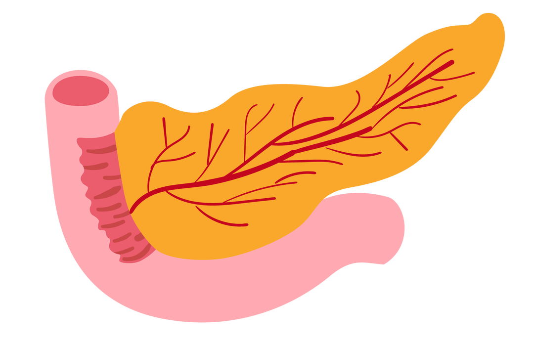 市一院消化内科成功开展院内首例超声内镜引导下胰腺穿刺术