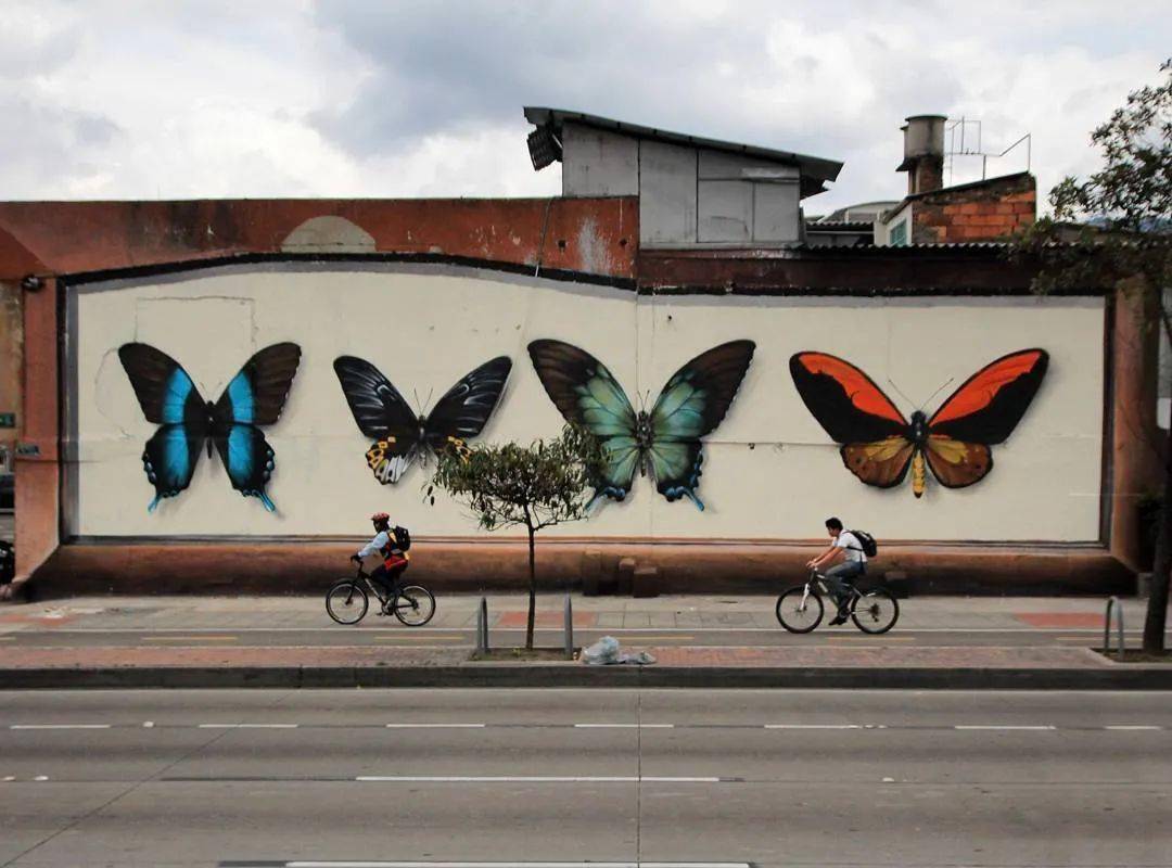 世界上最大的蝴蝶美成了童话