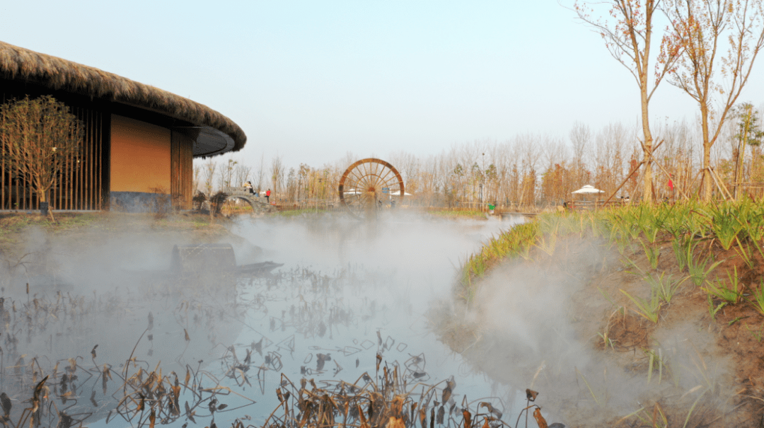 涡阳的网红打卡地现在你去了吗