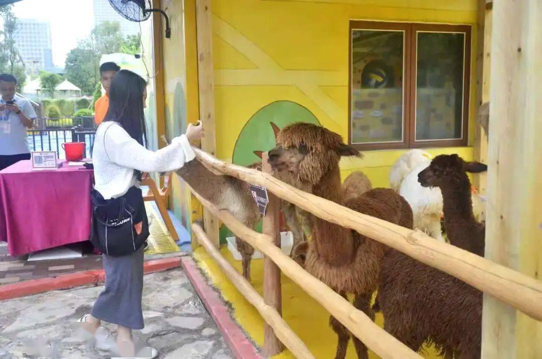 融創樂園5項明星動物園1大1小親子暢玩票99元提前一天指定日期購票