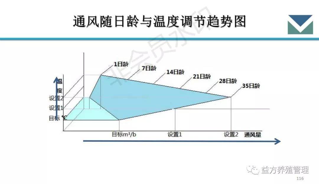 新思维养殖:笼养肉鸡饲养管理要点与疫病防控(全篇|建议收藏)
