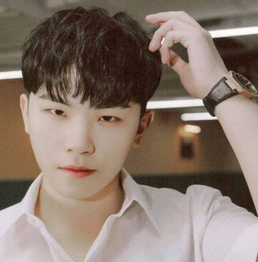 微信头像seventeen李知勋