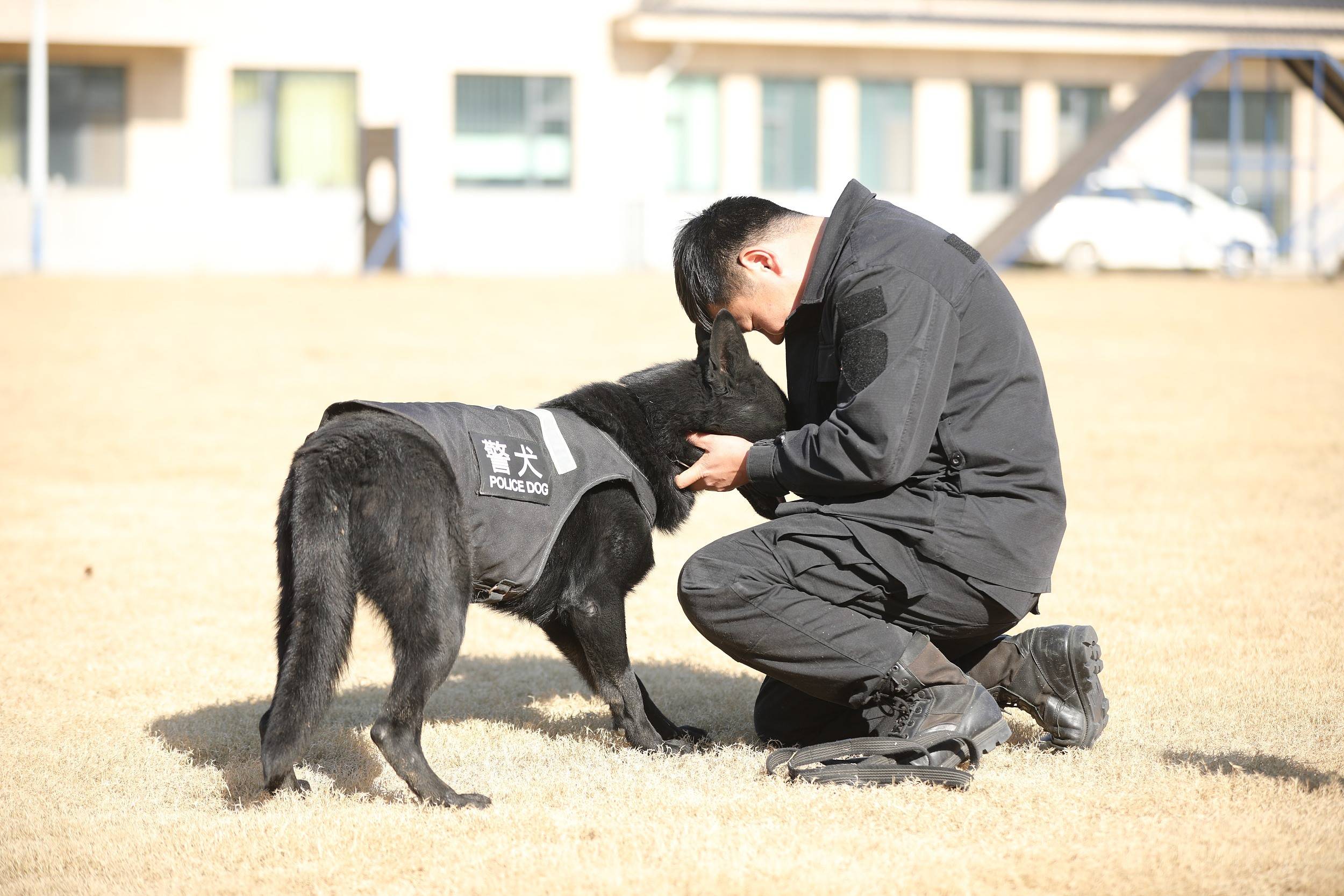 神犬奇兵子弹的妈妈图片