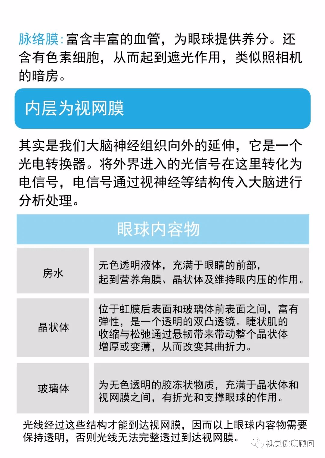 您瞭解我們眼睛的結構和功能嗎?