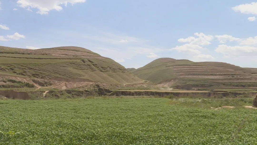 沿着平坦整洁的水泥硬化路,刘家寨子镇斜沟村村支书张宏的小轿车停在