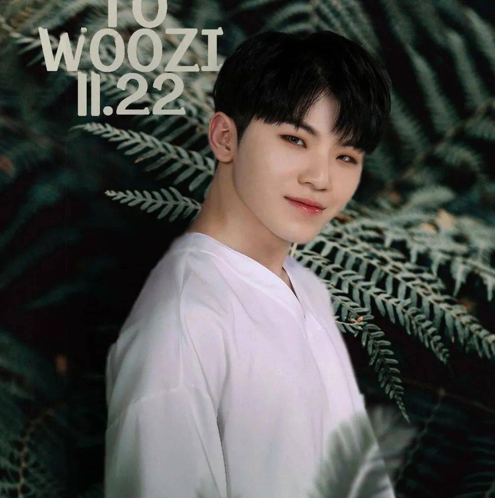 微信头像seventeen李知勋