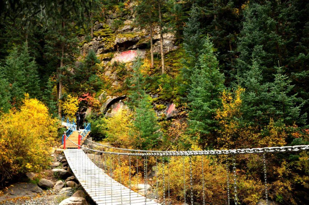 焉支山位于山丹县城南45公里处,占地面积10215亩,平均海拔2919米.