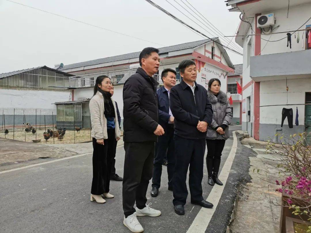 省纪委驻省委宣传部纪检监察组组长龚惠民一行到我镇