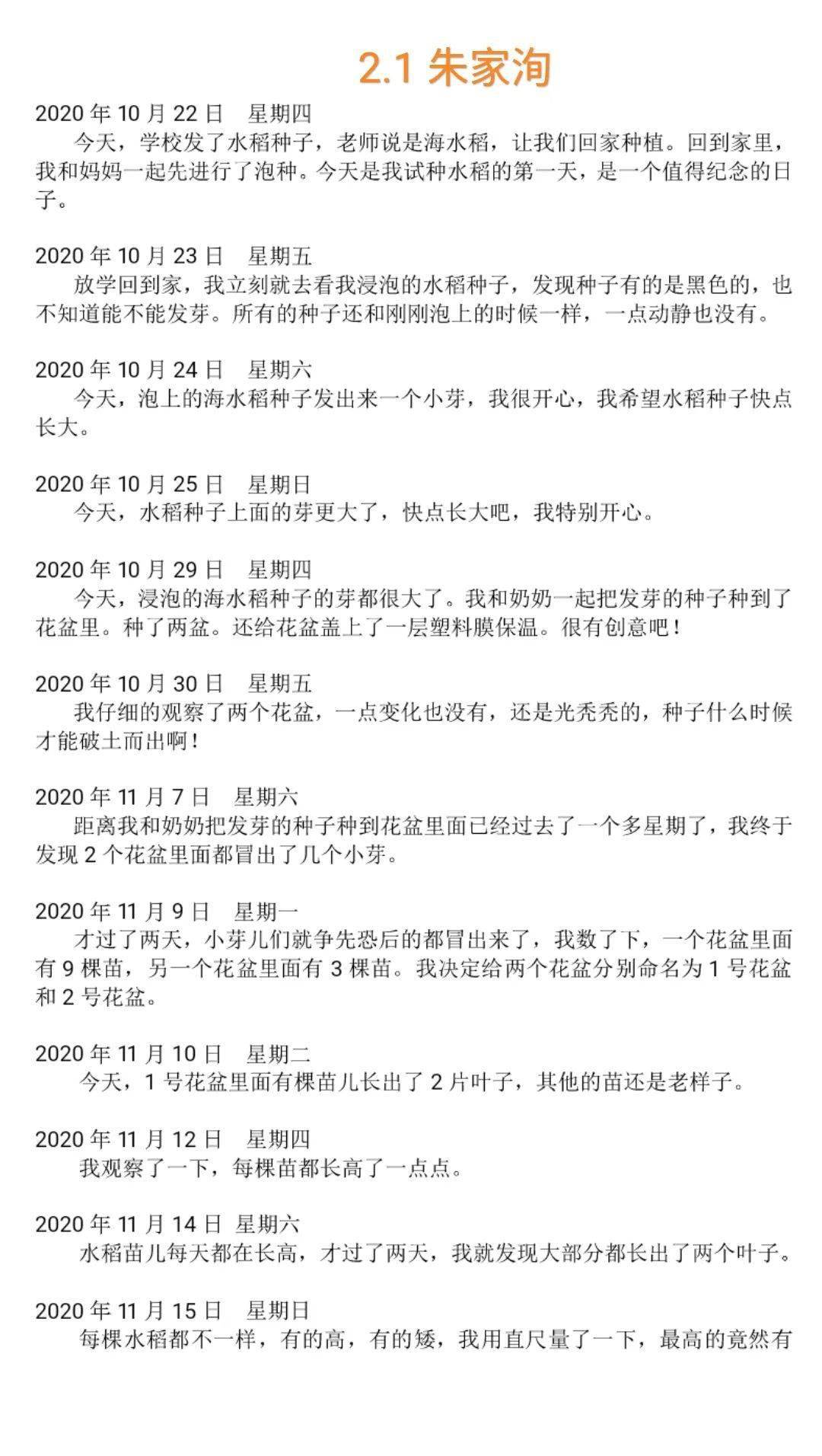 二.1中队水稻种植活动记录 金秋十月,青岛四方实验小学二.