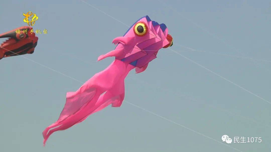 围观体训基地上空居然有一条五米长的粉红色金鱼