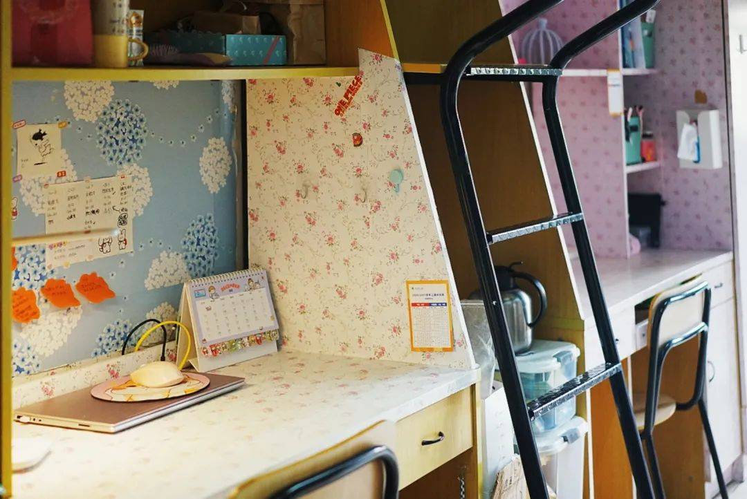 寝室装扮哪家强,"树大之星"等你来pick